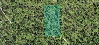 30-31-03-000000-0341 Inaaccesible Track, Lake Wales, FL 33898