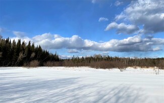 0 Fogg Brook Rd Unit 1482148, Lowell, ME 04493