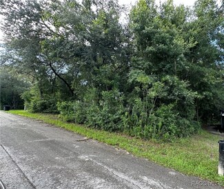 3076 E Glenn St, Inverness, FL 34453