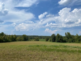 7080 Beauty Hill Rd, Adamsville, TN 38310
