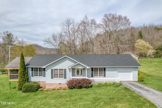 105 Buckner Dr, Roan Mountain, TN 37687