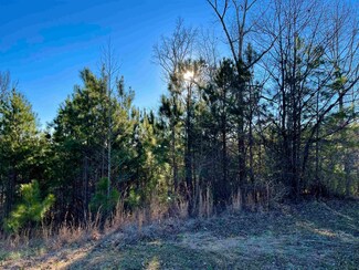 LOT 32A Teem Rd, Cullman, AL 35057