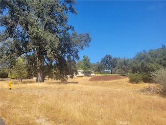 1 Acre Griffin Dr, Ahwahnee, CA 93644