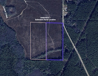 Parcel K&L Buck Tyner Rd, Laurel Hill, FL 32567