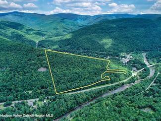 TBD New York 28, Phoenicia, NY 12464