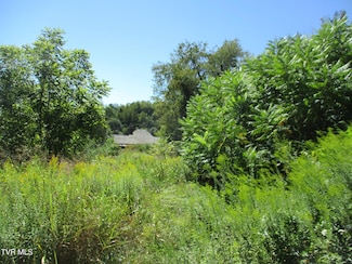 357 Spurgeon Ln, Bristol, VA 24201