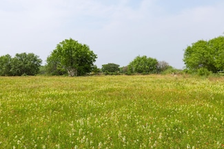 15970 Shepherd Rd, Atascosa, TX 78002