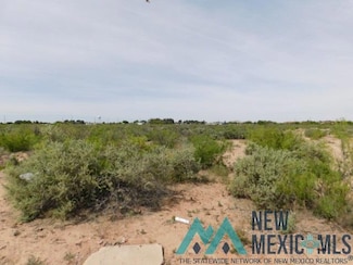1201 5 S Tennyson Dr, Deming, NM 88030