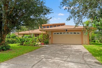 23302 Lucerne Place, Land O Lakes, FL 34639
