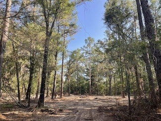 0 Laurie Dr, Hammond, LA 70401