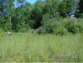 0 Williams Rd, Remsen, NY 13438