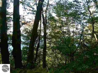167 E Crystal Downs Dr Unit 167, Frankfort, MI 49635