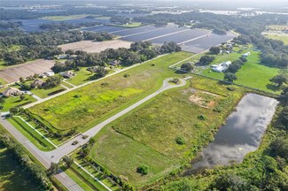 14220 Pine Straw Ct, Dover, FL 33527
