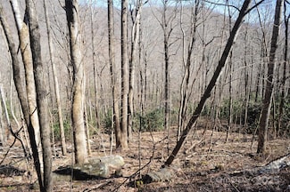 15 Wood Haven Ln Unit 110, Black Mountain, NC 28711