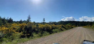 0 W California Rd Unit NWM2310215, Shelton, WA 98584