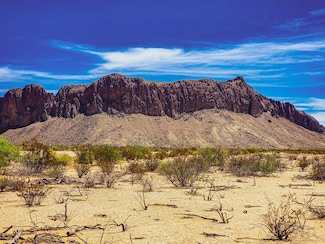 16050 West Rd, Terlingua, TX 79830