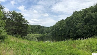 4162 Snyder Rd, Kodak, TN 37764