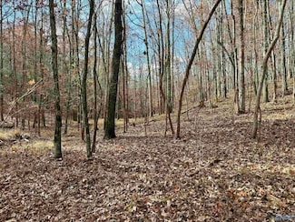 1 County Road 137, Cedar Bluff, AL 35959