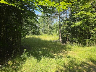 Lot 36-3 Partridge Ln, Linneus, ME 04730