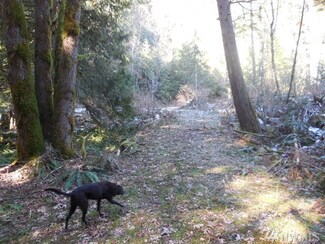 64034 E Cascade Rd, Marblemount, WA 98267
