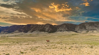 0 Wild Horse Ranch Rd Unit Lot 294 11419505, Laramie, WY 82070