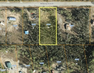 21288 W Blarney Stone Dr, Big Lake, AK 99654