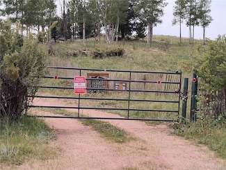 3154 Cr 863, Victor, CO 80860