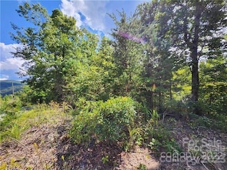 53 Autumn View Dr, Hendersonville, NC 28792