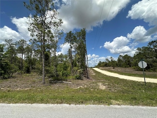 TBD SE 10th St and Se 148th Terrace, Williston, FL 32696