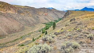 4897 N Trail Creek Rd, MacKay, ID 83251