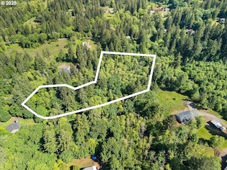 00 NE 324th Cir, Battleground, WA 98604