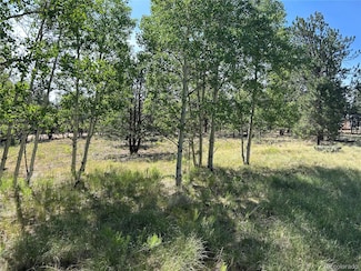 519 Hay Hook Way Unit 250, Hartsel, CO 80449