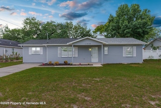 11050 Auburndale St, Spring Hill, FL 34609