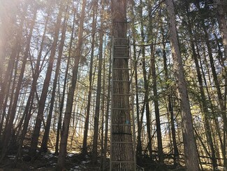 00 Gillies Hill Rd, Canaseraga, NY 14822