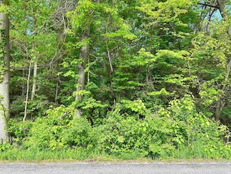 VL Douglas Lot 2, Osceola, IN 46561