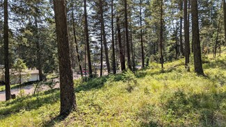 106 Timberlane Terrace, Lakeside, MT 59922