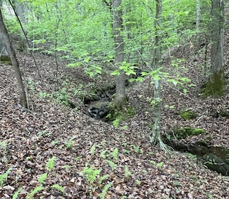 Lot 127 Water Oak Dr, Ellijay, GA 30540
