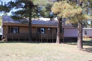 107 Brook Dr, Pagosa Springs, CO 81147