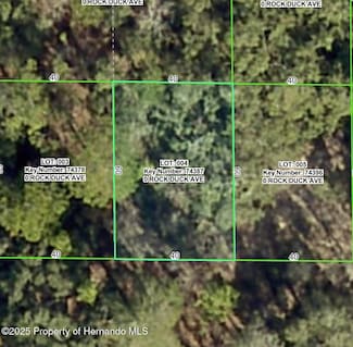 0 Rock Duck Ave Unit 2256072, Weeki Wachee, FL 34614