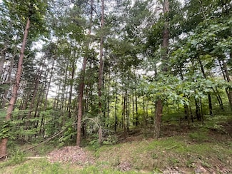 1059 Mayfield Ln NE, Ranger, GA 30734