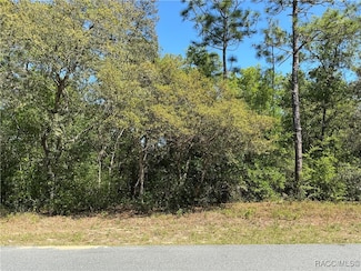 2918 W Camilo Dr, Dunnellon, FL 34434