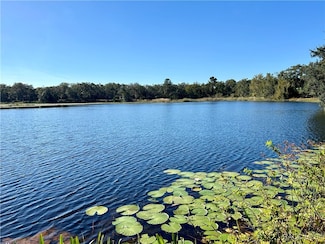 7420 E Gospel Island Rd, Inverness, FL 34450