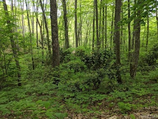17010 Buck Knob, Cullowhee, NC 28723