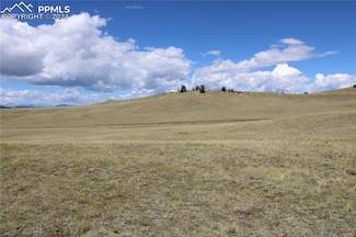 0 Caddo Rd Unit 3612321, Hartsel, CO 80449