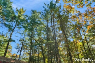 0 MacKinaw Trail Dr Unit 24062628, Reynolds Township, MI 49329