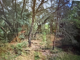 0 NE 117th Ave Unit MFRP4933405, Fort McCoy, FL 32134