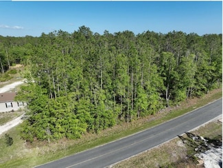 0 NE 77th Ave, Bronson, FL 32621