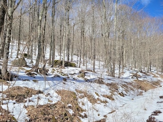 0 Lot 23 Eagles Nest Unit 25-855, Snowshoe, WV 26209