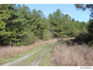 00 Hidden Cove Loop, Jasper, AL 35503