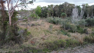 757 Crystal Ave, Lehigh Acres, FL 33974